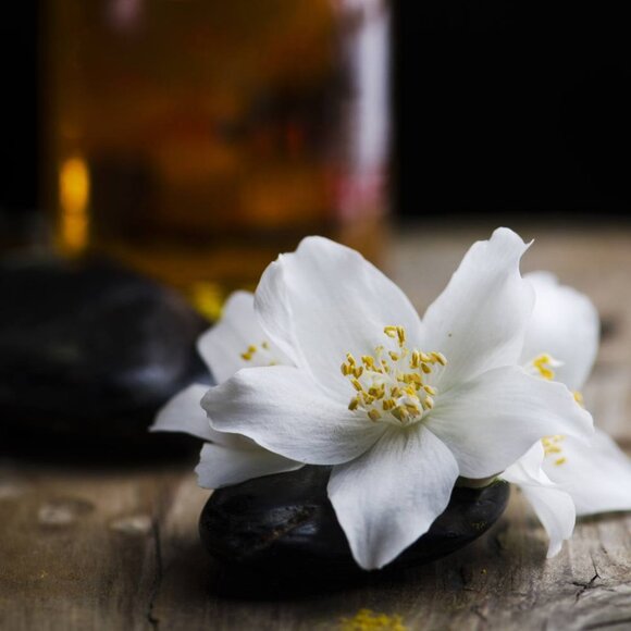 Handcrafted Jasmine Body Balm - Picture 1 of 9